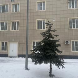Фото Отель Динамо