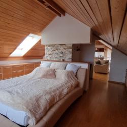 Апартаменты люкс (мансарда)