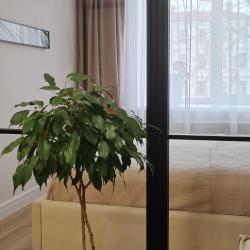 Фото Апартаменты на улице Горького 147