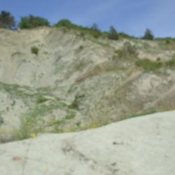 Фото Отель Аммонит