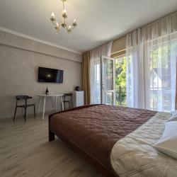 2-местный 1-комнатный номер стандарт комфорт с 1 двуспальной кроватью