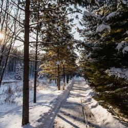 Фото Отель Электра