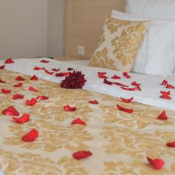 Фото Отель Малиновая слобода