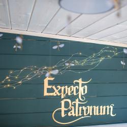 Фото Отель Гарри и философский чан