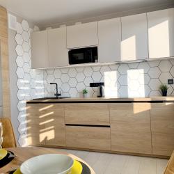 4-местные 2-комнатные апартаменты улучшенные улица Революционная 101Д