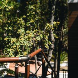 Фото Парк-отель Московский