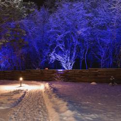 Фото Отель Хутор Троллей