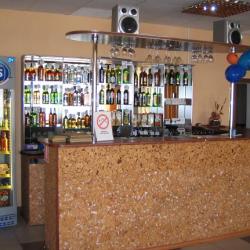 Фото Отель Родина