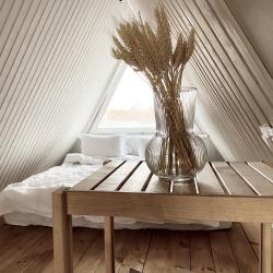 Дом у сосны