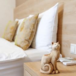 Апартаменты студия 1