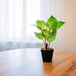 Фото Отель Уютная однокомнатная квартира apart-hotel Kömfi