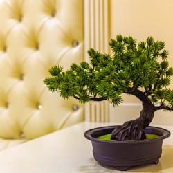 Фото Апартаменты на улице Чкалова 75 (49/2)