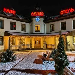 Фото Отель Алино