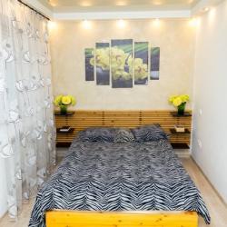 Фото Апартаменты на улице Плехановская