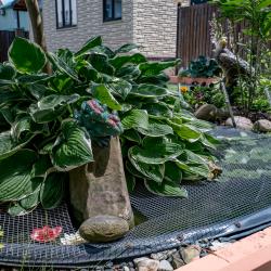 Фото Отель Стефания