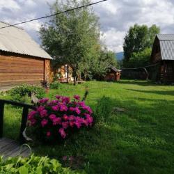 Фото Отель Алтайна