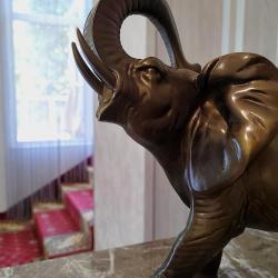 Фото Отель Маро