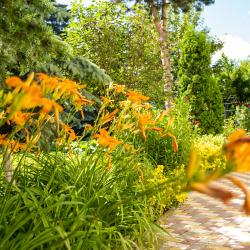 Фото Отель Mountains (Маунтинс)