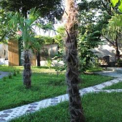 Фото Отель AMIGO на Морской (Амиго)