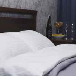 Фото Отель Аустерия