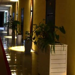 Фото Отель Hotel Shodlik (Шодлик)