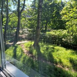 Фото Апартаменты Алиса39 на улице Звёздная 27