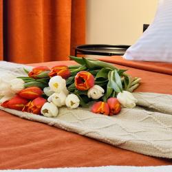 1-комнатные апартаменты студия Однокомнатные апартаменты