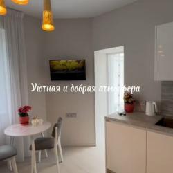 1-комнатные апартаменты студия Тургенева 10\2