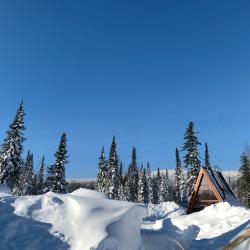 Фото Отель Vektor (Вектор)