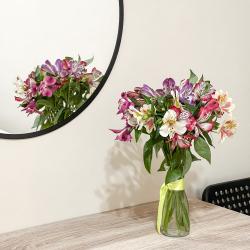 Двухместная комната с одной кроватью