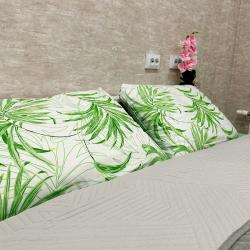 1-комнатные апартаменты стандарт с 1 двуспальной кроватью