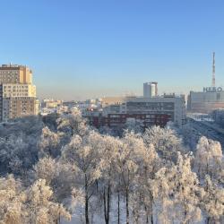 2-комнатные апартаменты стандарт с 1 двуспальной кроватью FLORA