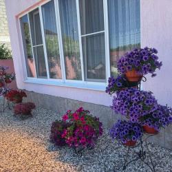 Фото Отель Розовая лагуна