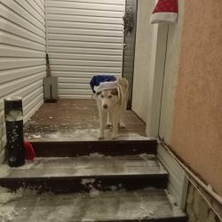 Фото Отель Гармония