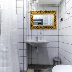1-комнатные апартаменты стандарт Loft C