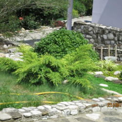 Фото Отель Гостевой Дом Нэста