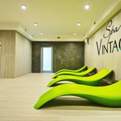 Фото SPA Hotel Vintage (СПА отель Винтаж)