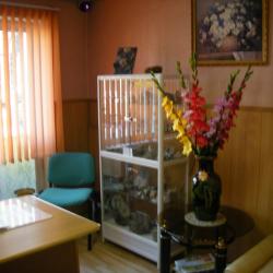 Фото Отель Лаванда