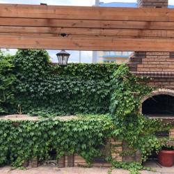 Фото Отель Аристократ