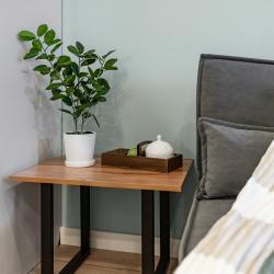 4-местные 1-комнатные апартаменты студия