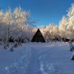 Фото Отель Алино