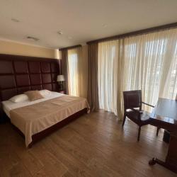 Номер люкс с 1 двуспальной кроватью