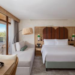 Номер делюкс прайм с 1 двуспальной кроватью и террасой