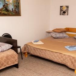 Номер стандарт семейный