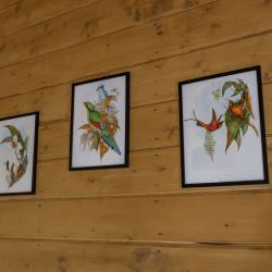 2-комнатный коттедж в лесу №2