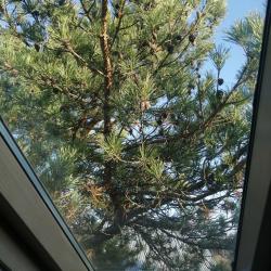 Фото Отель Рубикон