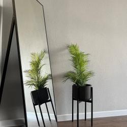 1-комнатные апартаменты студия Daisy