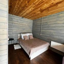 Фото Отель Altay Dream (Алтай Дрим)