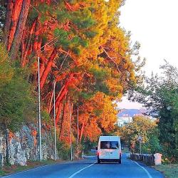 Фото Отель База отдыха Жоэквара