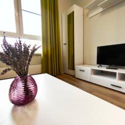 Фото Апартаменты GlobusApartamentCity на улице Лётчика Грицевца 14А